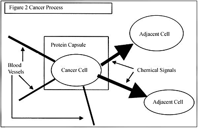 cartoon showing the process of cancer cell